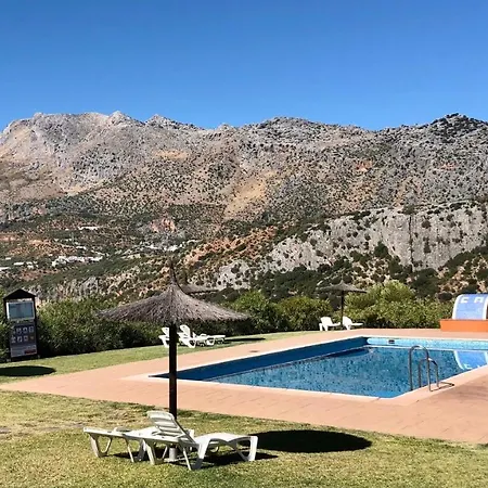 Cedro Alto * Benaoján