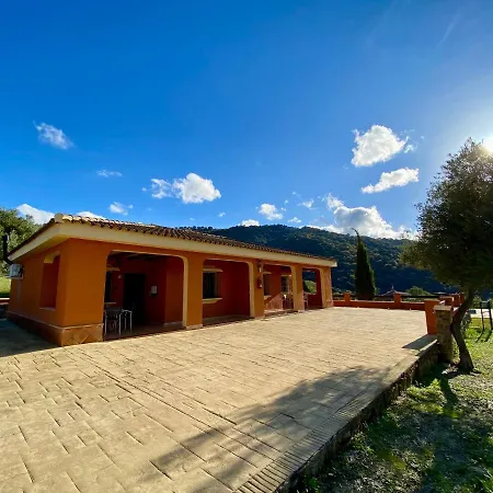 Cedro Alto * Benaoján