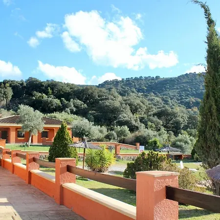 Cedro Alto Benaoján