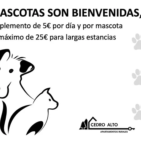 Cedro Alto