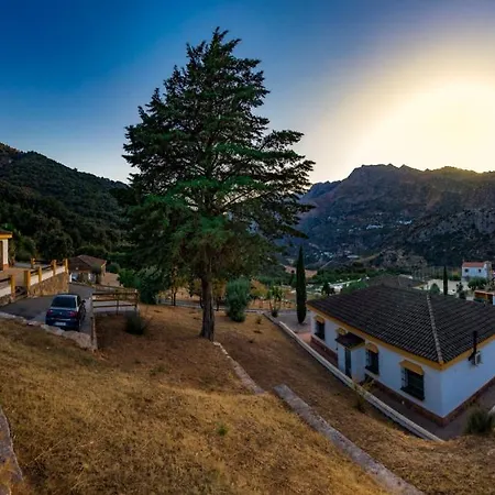 Apartamento Cedro Alto