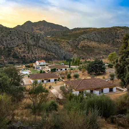 Cedro Alto Apartamento Benaoján