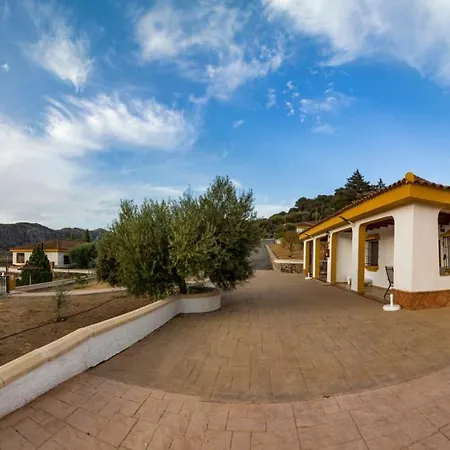 Cedro Alto Benaoján