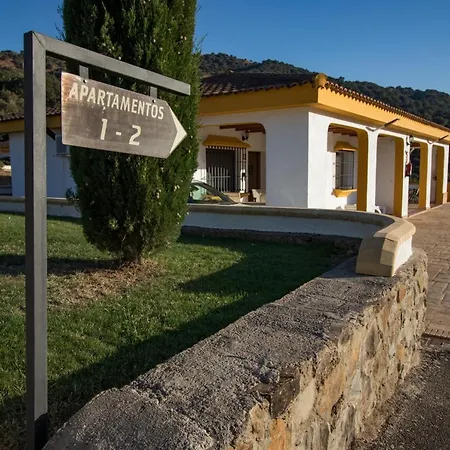 Cedro Alto