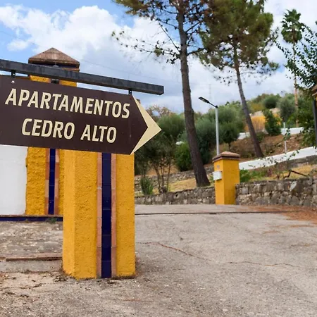 Cedro Alto *