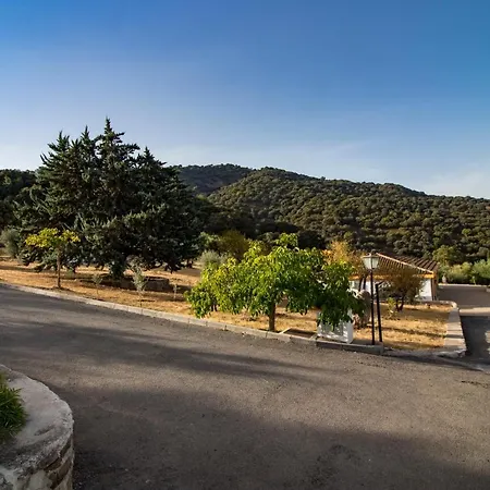 Cedro Alto