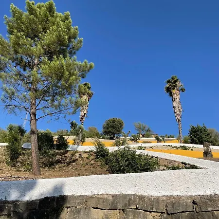 Cedro Alto Benaoján