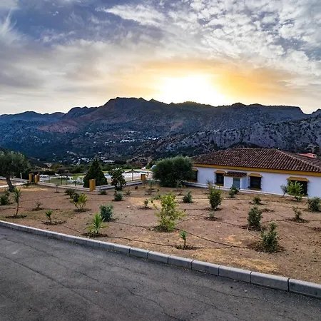 Cedro Alto * Benaojan