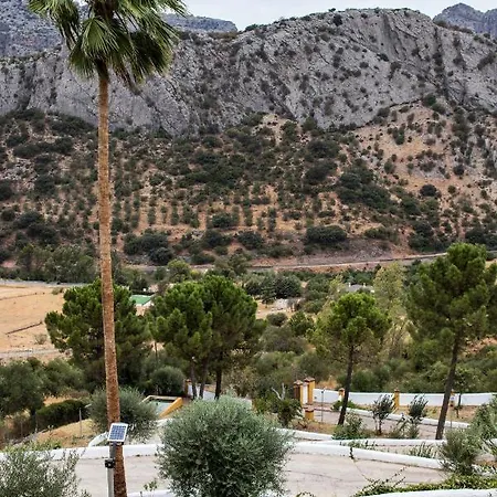 Apartment Cedro Alto