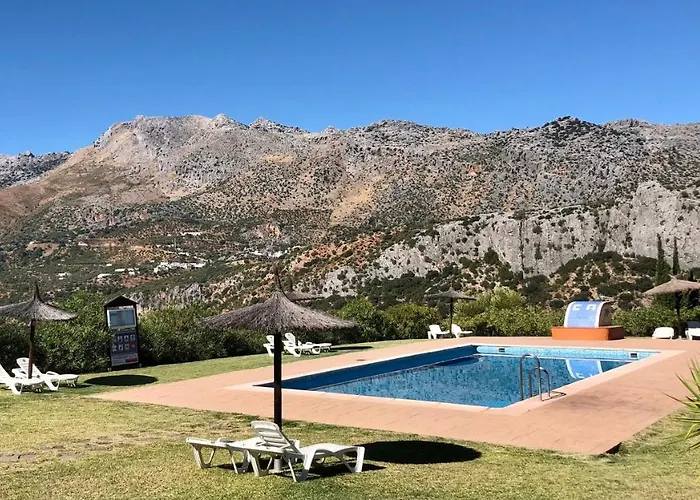 Cedro Alto * Benaoján