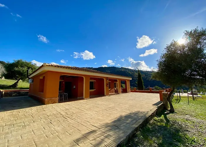 Cedro Alto * Benaoján