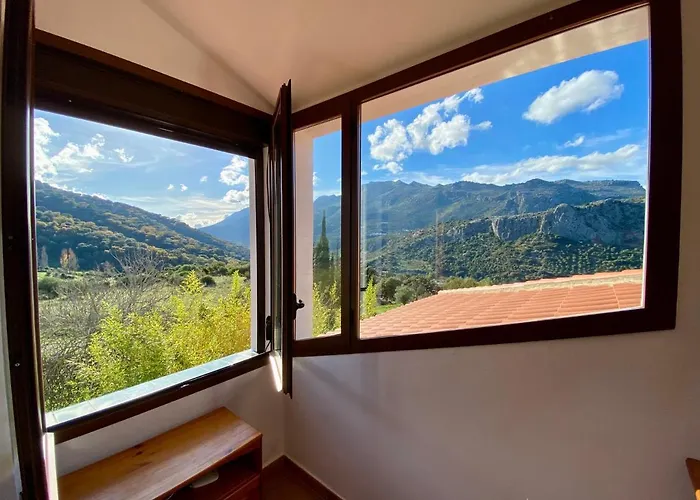 Cedro Alto