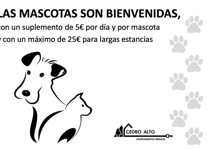 Cedro Alto