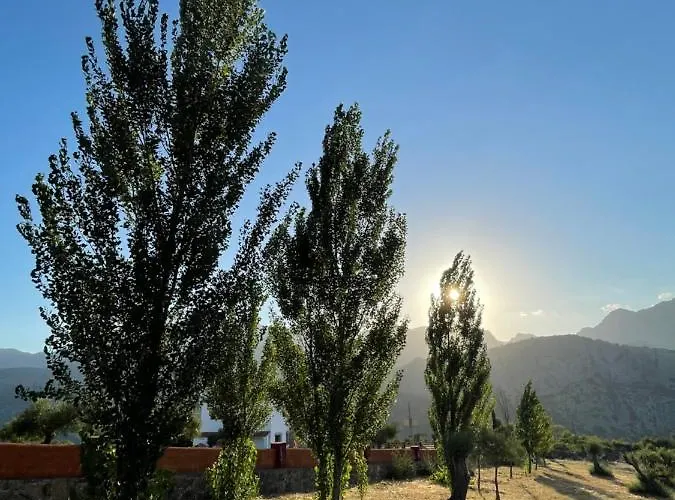 Cedro Alto * Benaoján